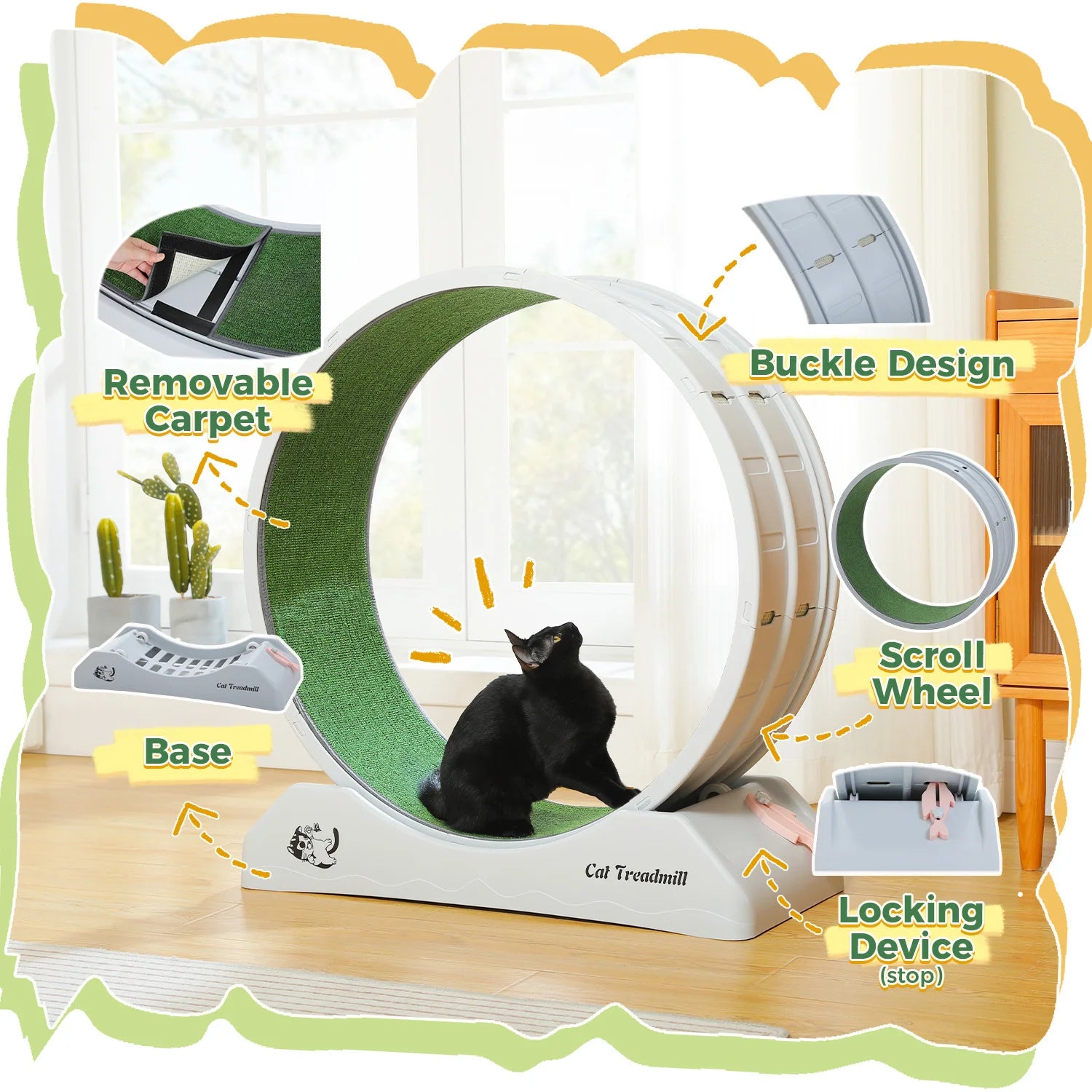 Cat Treadmill for Indoor Pawlymals