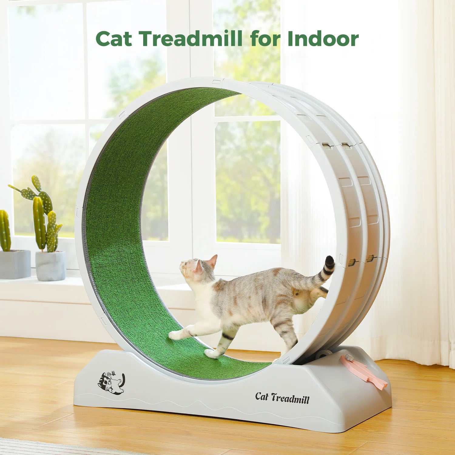 Cat Treadmill for Indoor Pawlymals
