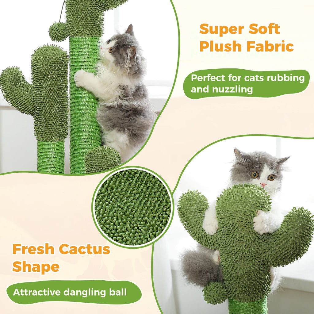 Cactus Cat Scratching Pawlymals