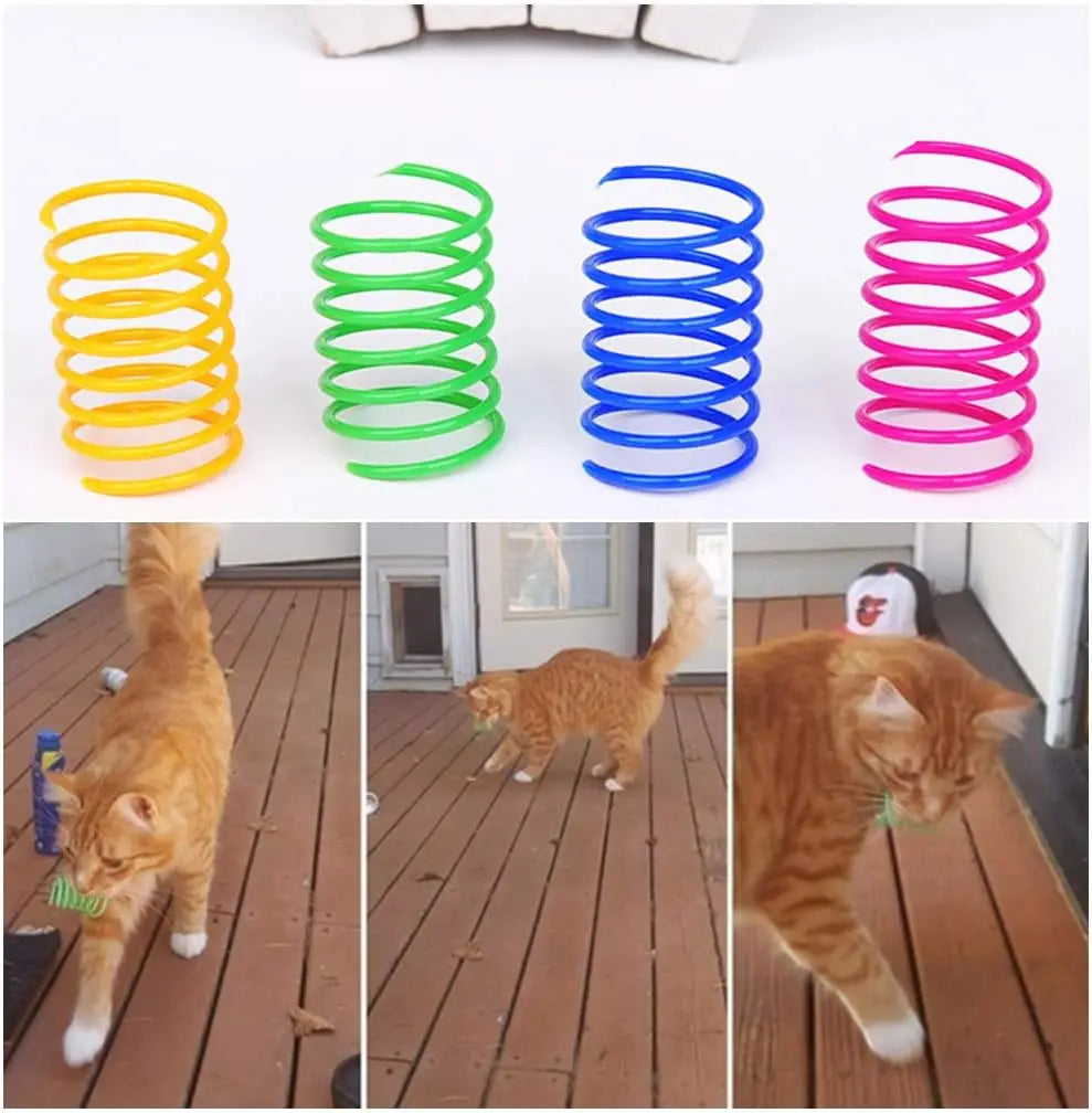 Cat spriral toy Pawlymals