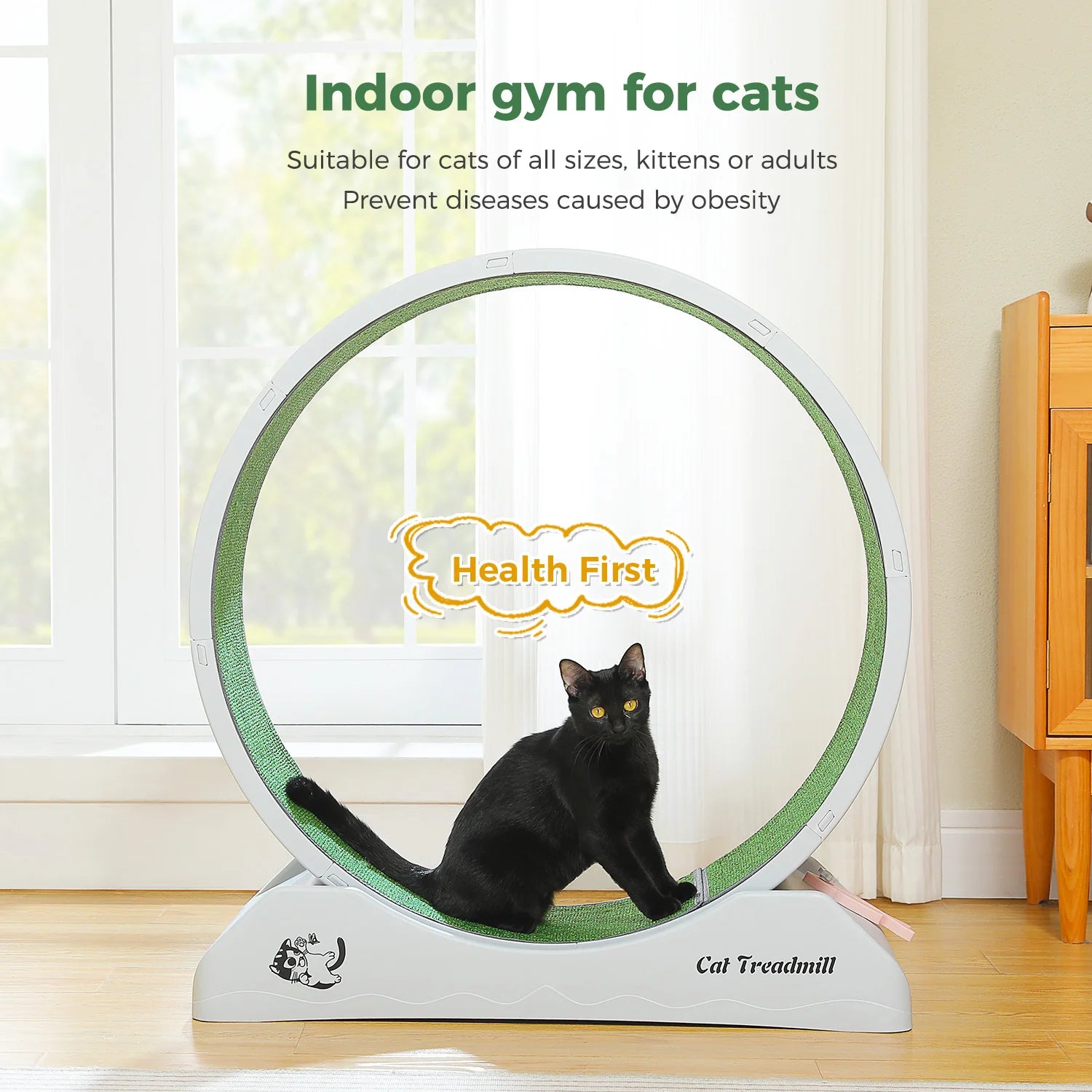 Cat Treadmill for Indoor Pawlymals