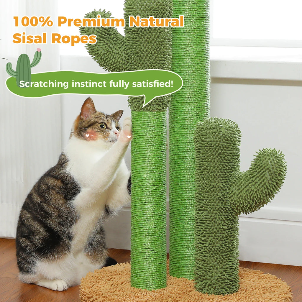 Cactus Cat Scratching Pawlymals