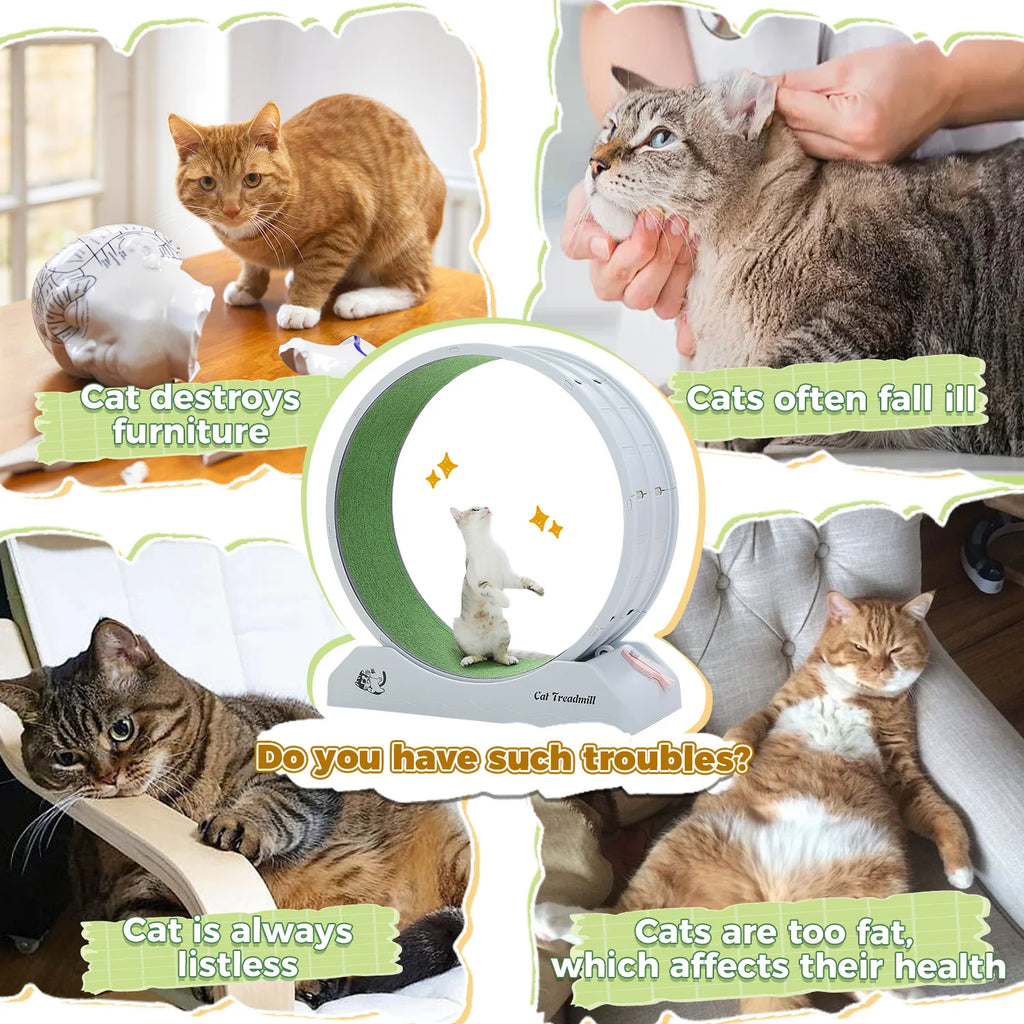 Cat Treadmill for Indoor Pawlymals