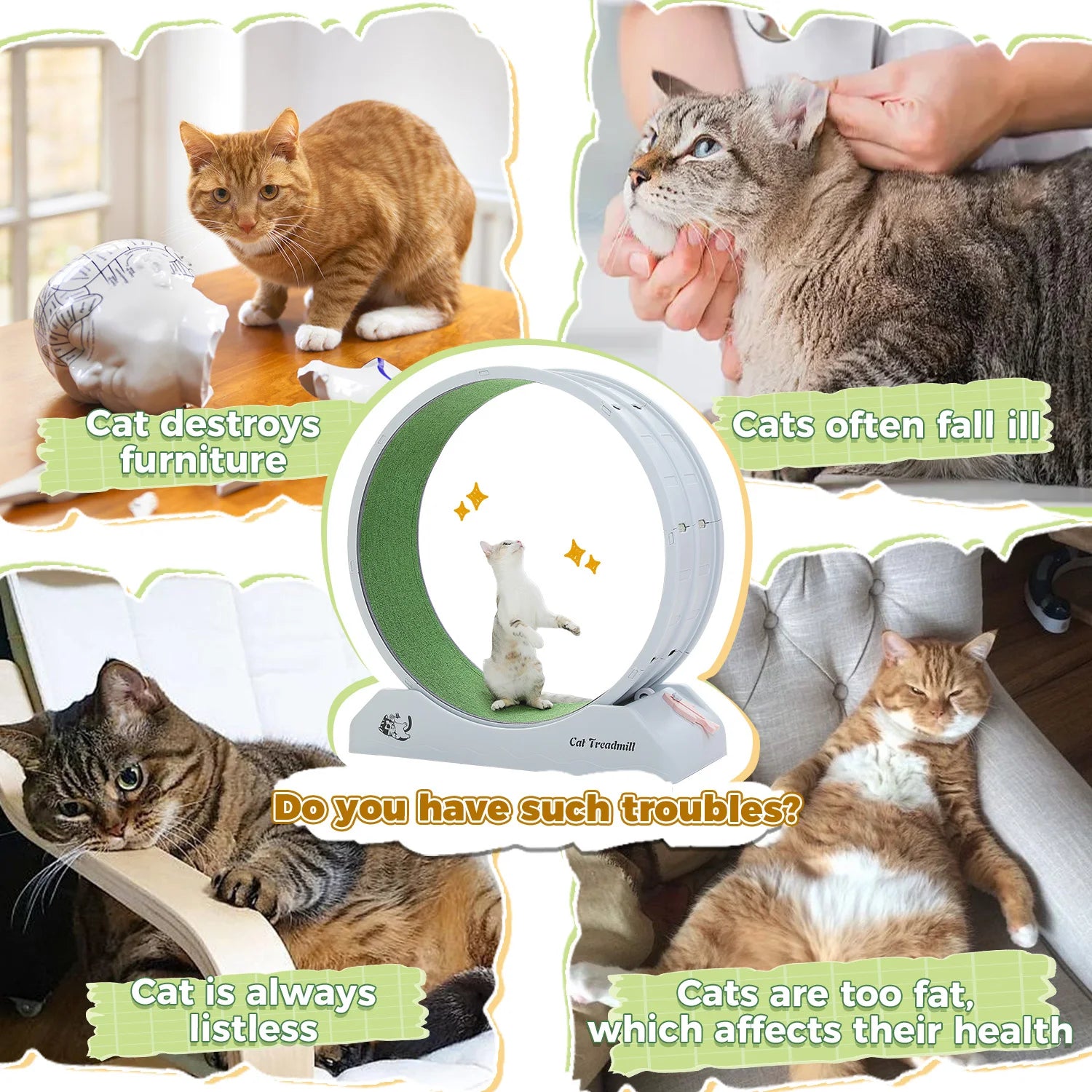 Cat Treadmill for Indoor Pawlymals