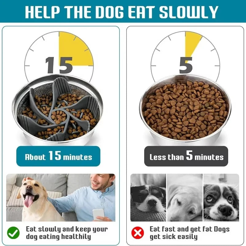 Pet Feeder Pawlymals