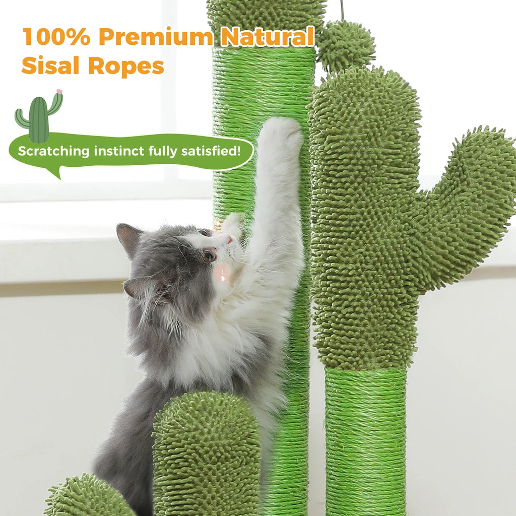 Cactus Cat Scratching Pawlymals