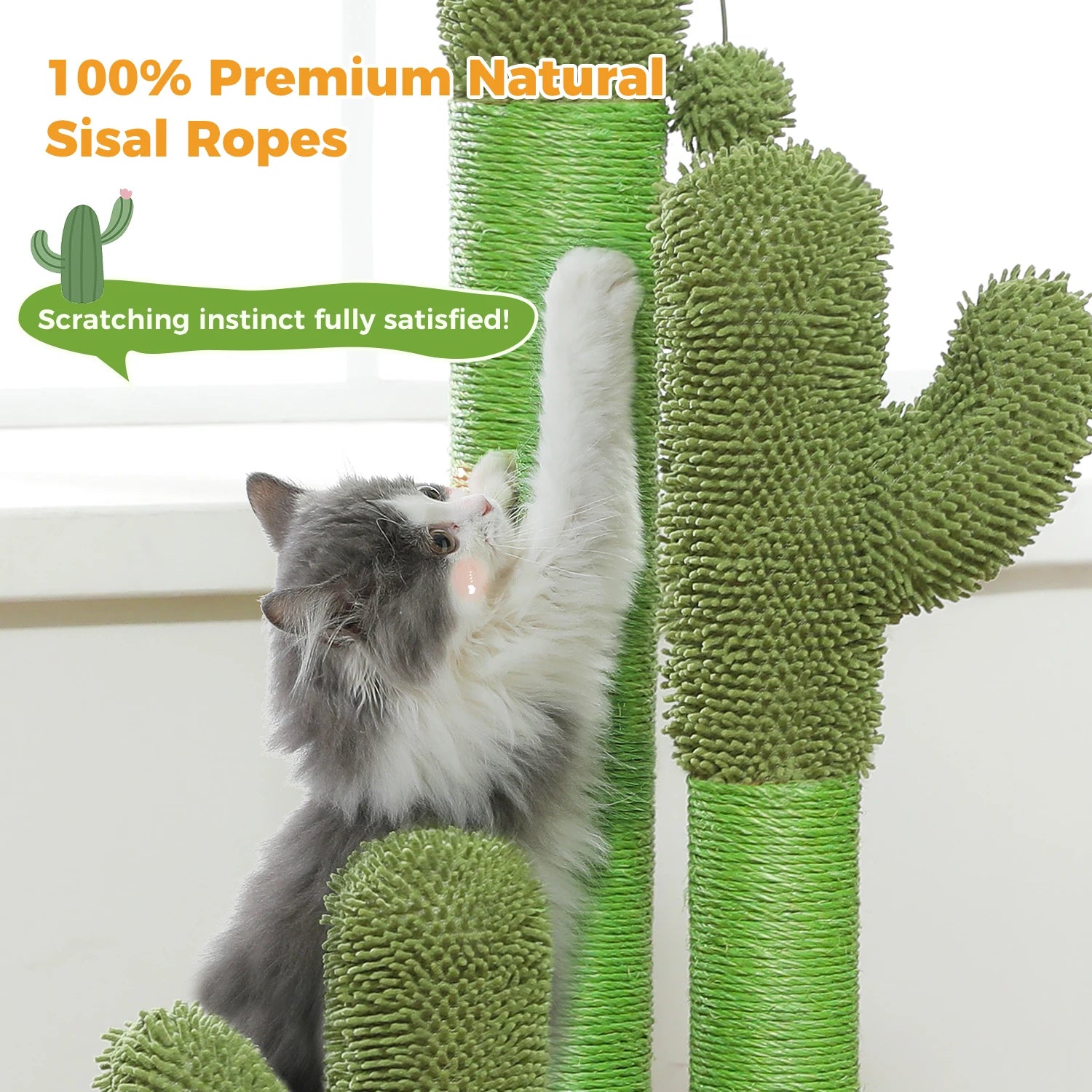 Cactus Cat Scratching Pawlymals